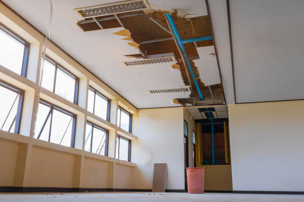 Best Professional water damage repair  in Vassar, MI