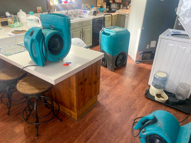 Best Water damage restoration process  in Vassar, MI