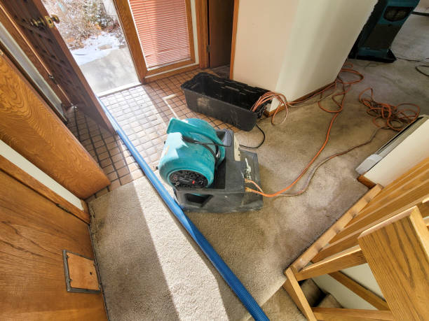 Best Sewage cleanup and water damage restoration  in Vassar, MI