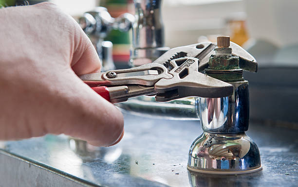 Best Mold removal after water damage  in Vassar, MI