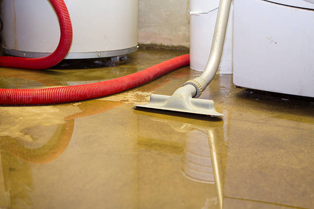 Best Professional water damage repair  in Vassar, MI